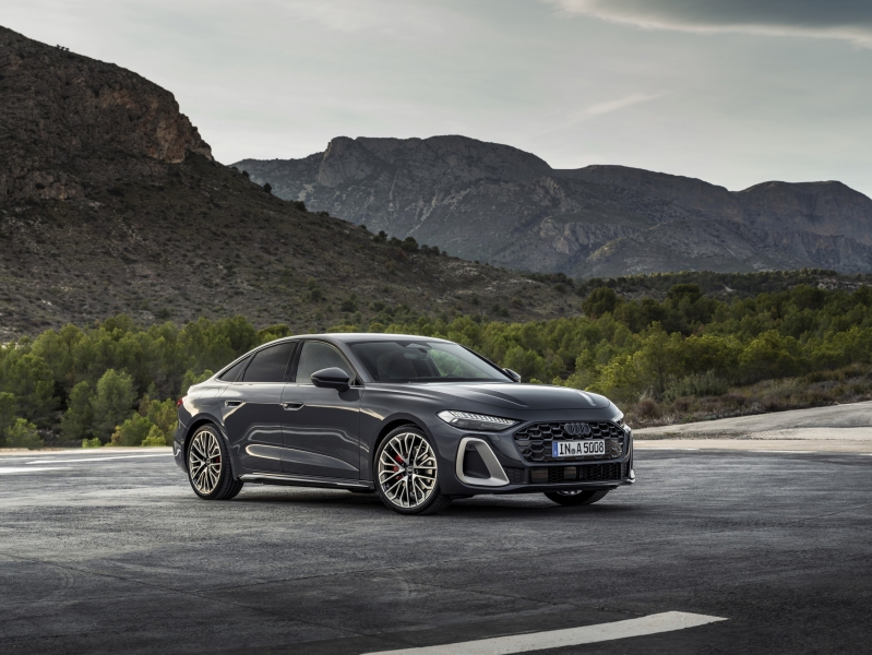 What Would You Do To Save Audi?