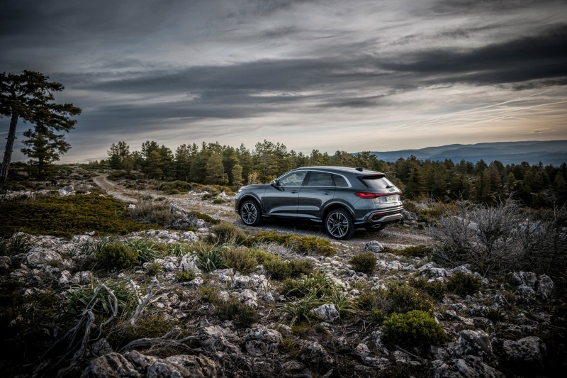 What Would You Do To Save Audi?