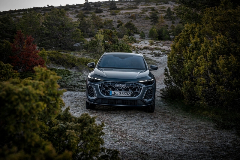 What Would You Do To Save Audi?