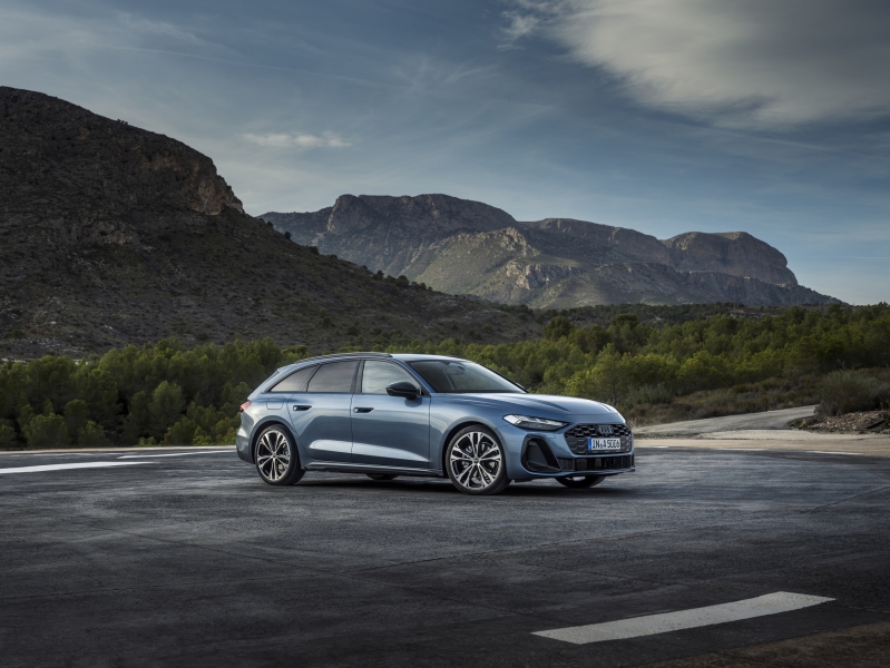 What Would You Do To Save Audi?