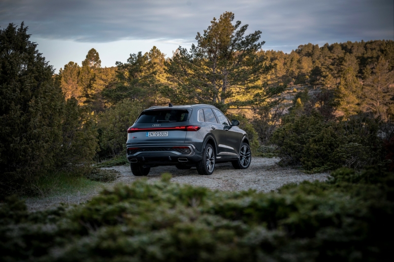What Would You Do To Save Audi?