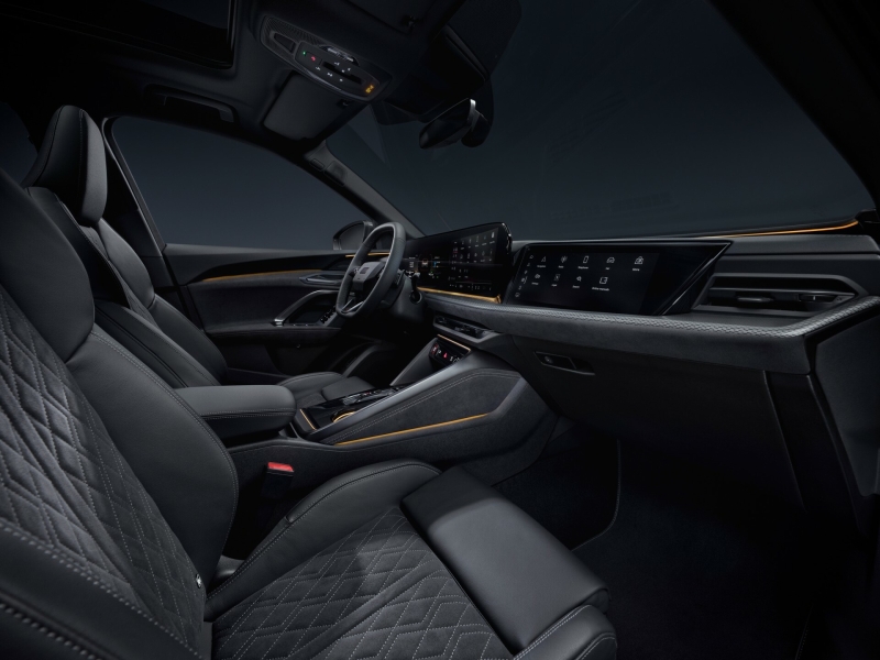 What Would You Do To Save Audi?