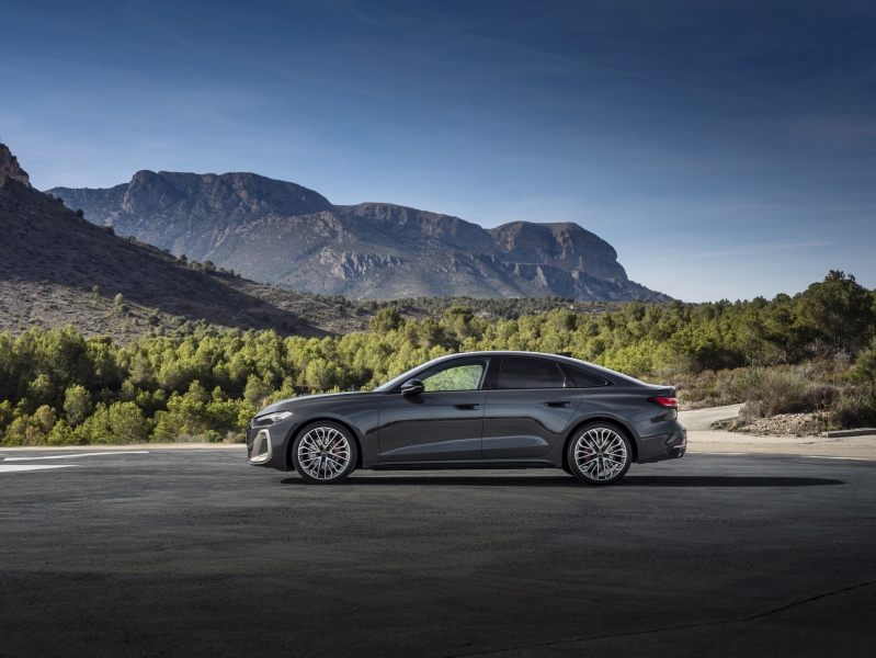 What Would You Do To Save Audi?