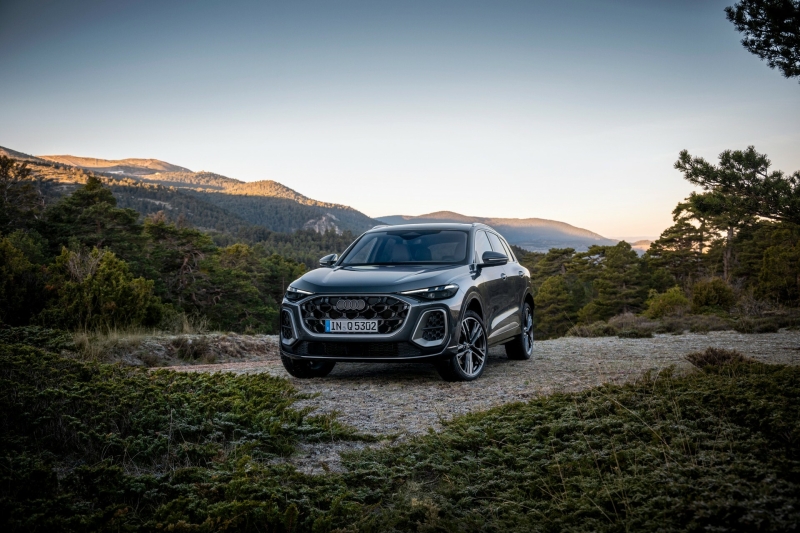 What Would You Do To Save Audi?